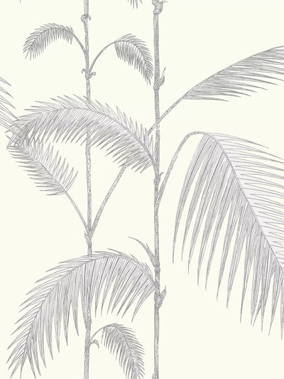 John Lewis Cole & Son Palm Jungle Wallpaper- Buy online at McGrocer