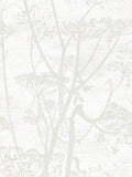 Cole & Son Cow Parsley Wallpaper L10m x W53cm
