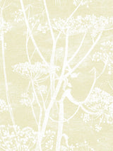 John Lewis Cole & Son Cow Parsley Wallpaper L10m x W53cm- Buy online at McGrocer