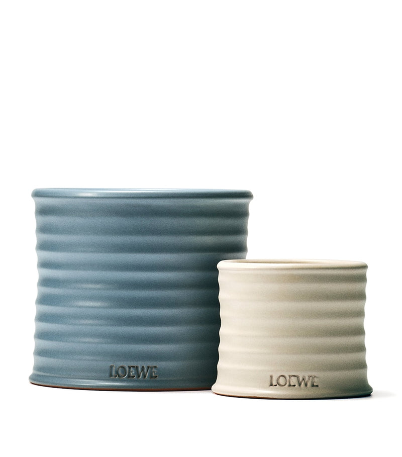 LOEWE medium oregano scented candle 610g, UK version