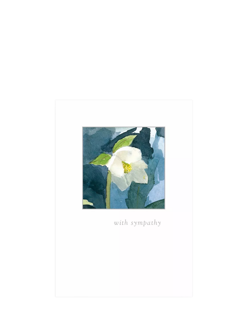 Woodmansterne sympathy card Thinking Hellebore, imported from the UK