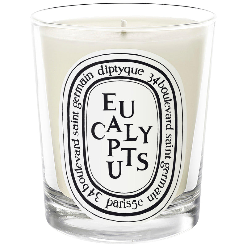 Eucalyptus Scented Candle 190g