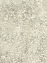 John Lewis Osborne & Little Oratorio Wrapping Paper- Buy online at McGrocer