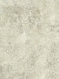 Osborne & Little Oratorio wrapping paper, imported from the UK