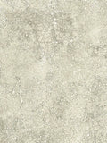 Osborne & Little Oratorio wrapping paper, imported from the UK