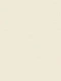 The Little Greene Paint Company Absolute Matt Emulsion 2.5L