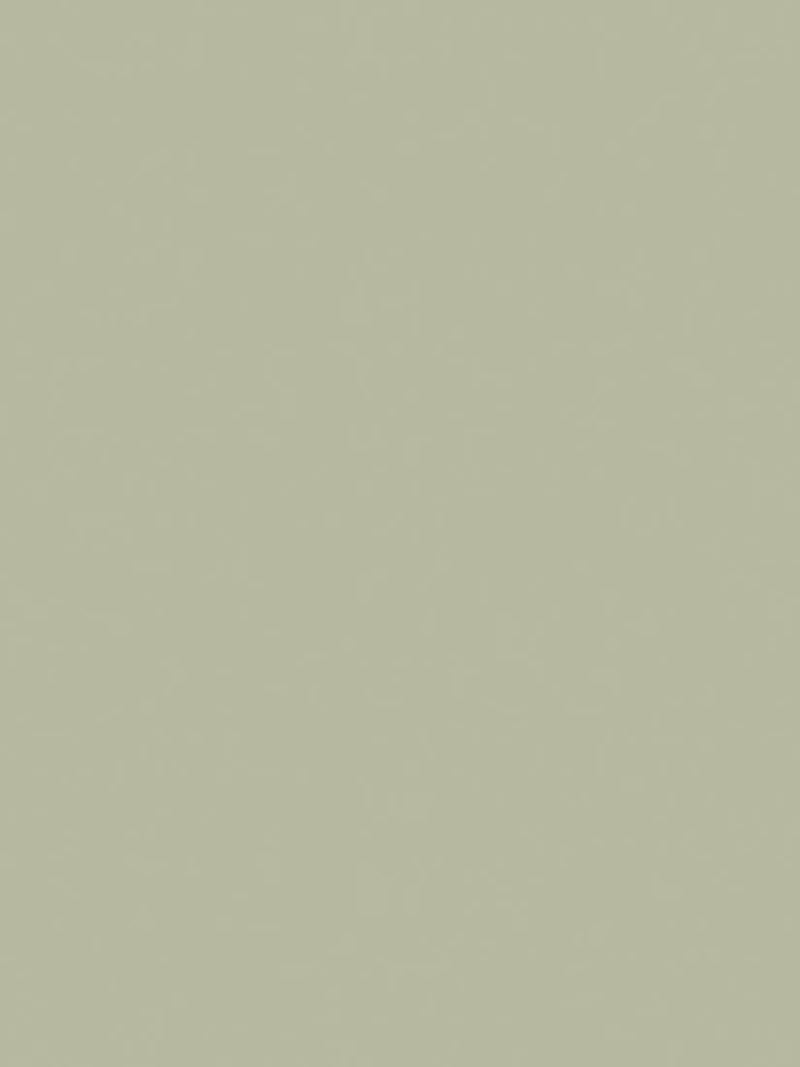 The Little Greene Paint Company Absolute Matt Emulsion 2.5L