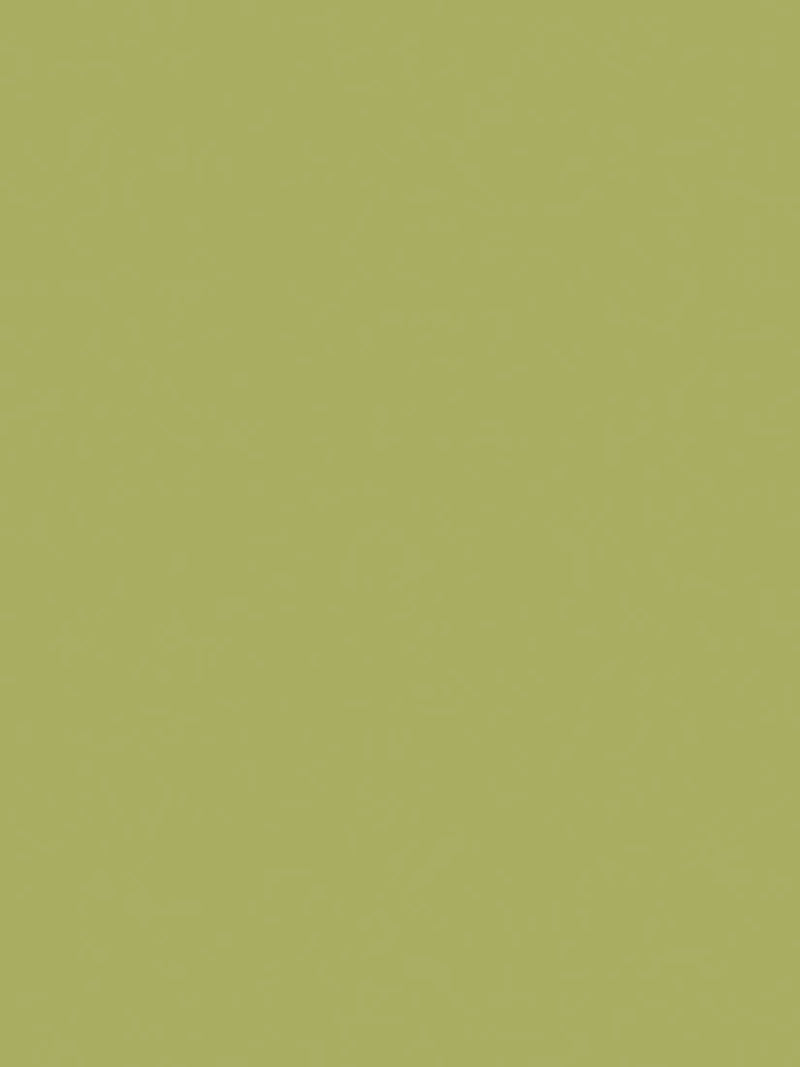 The Little Greene Paint Company Absolute Matt Emulsion 2.5L