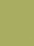 The Little Greene Paint Company Absolute Matt Emulsion 2.5L