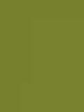 The Little Greene Paint Company Absolute Matt Emulsion 2.5L