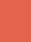 The Little Greene Paint Company Absolute Matt Emulsion 2.5L