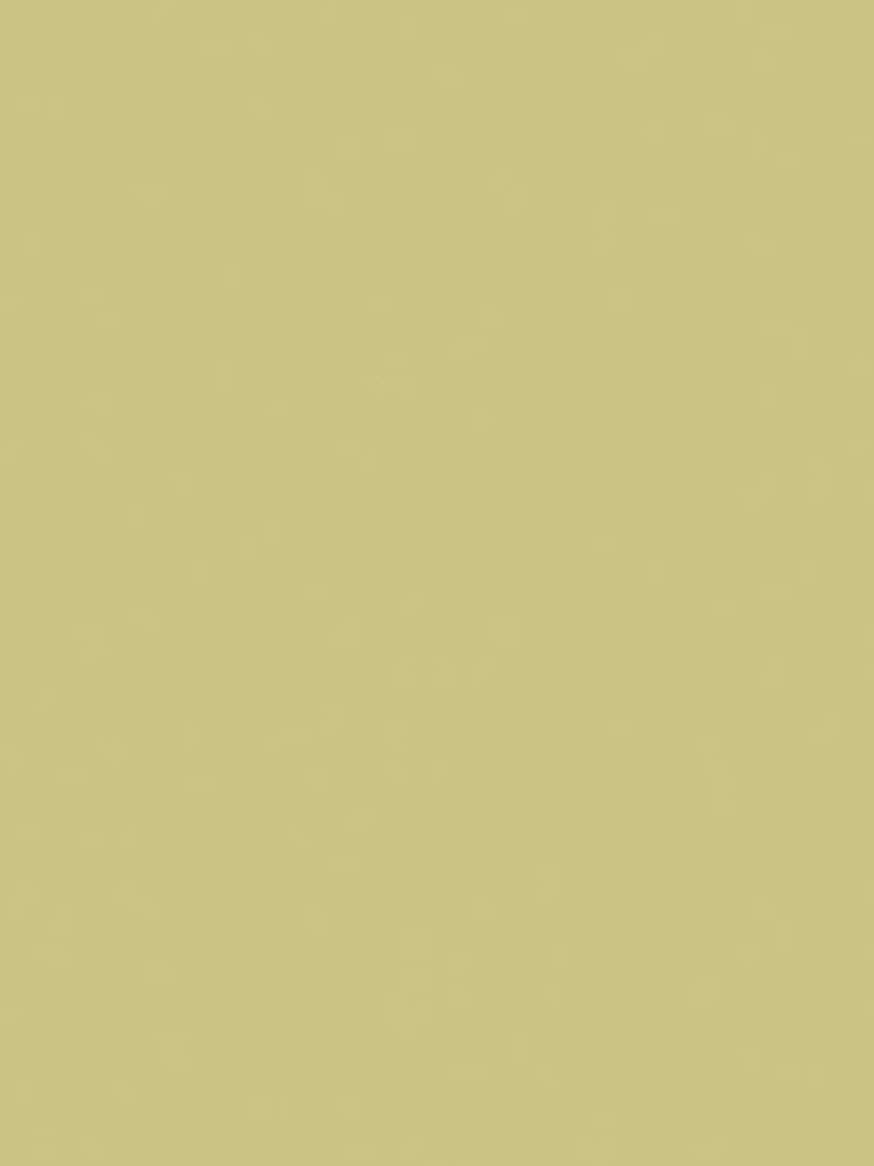 The Little Greene Paint Company Absolute Matt Emulsion 2.5L