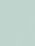 The Little Greene Paint Company Absolute Matt Emulsion 2.5L