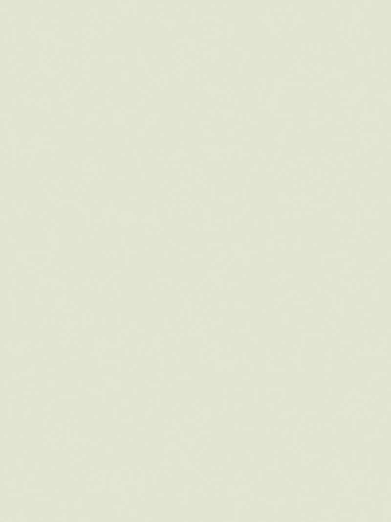 The Little Greene Paint Company Absolute Matt Emulsion 2.5L