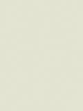 The Little Greene Paint Company Absolute Matt Emulsion 2.5L