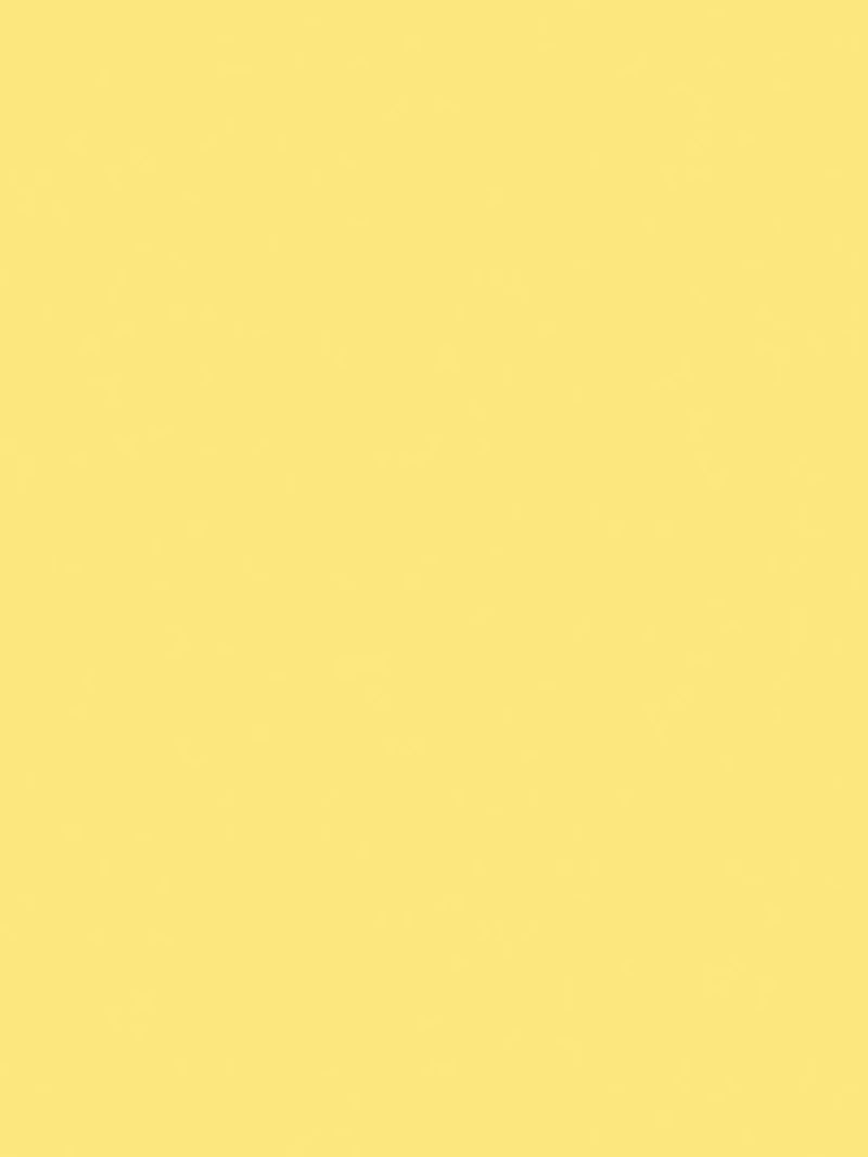 The Little Greene Paint Company Absolute Matt Emulsion 2.5L