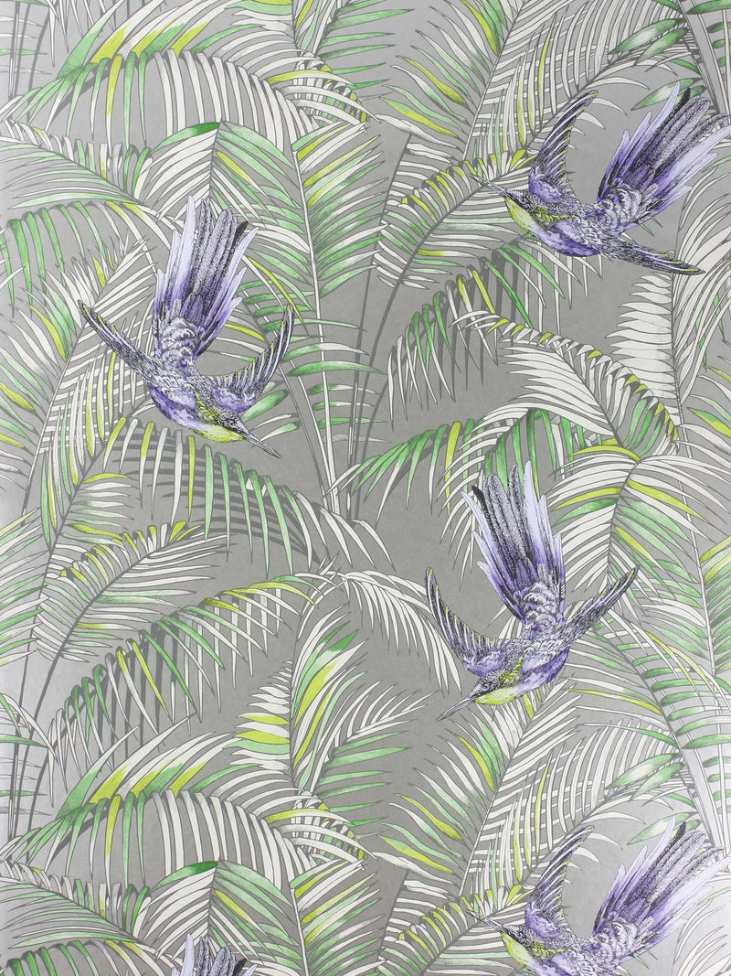 Matthew Williamson sunbird wallpaper featuring exotic bird and foliage pattern, imported from the UK