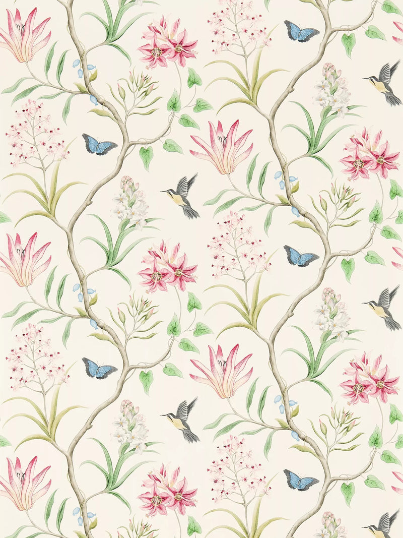 Sanderson Clementine tropical wallpaper (British brand)