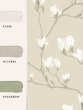 Laura Ashley wallpaper Natural Magnolia Grove 10m, imported from the UK