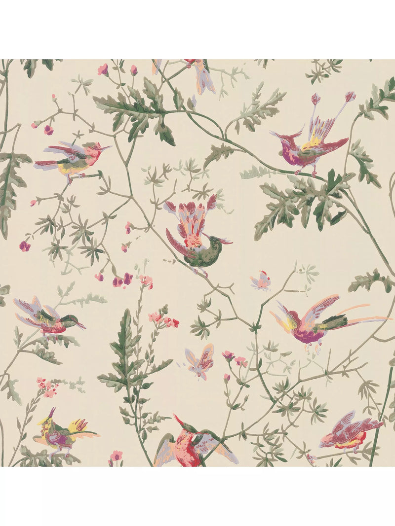Cole & Son Kolibris Tapete
