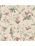 Cole & Son Kolibris Tapete