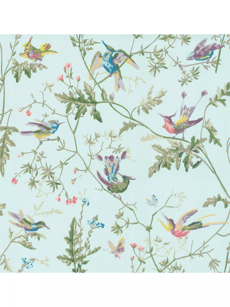Cole & Son Kolibris Tapete, britische Version