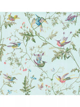 John Lewis Cole & Son Hummingbirds Wallpaper- Buy online at McGrocer