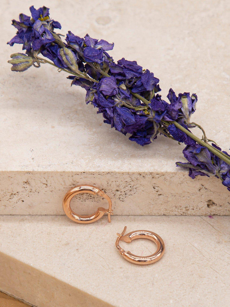 IBB 9ct rose gold creole earrings, UK version