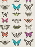 Harlequin Papilio botanical butterfly wallpaper, UK version