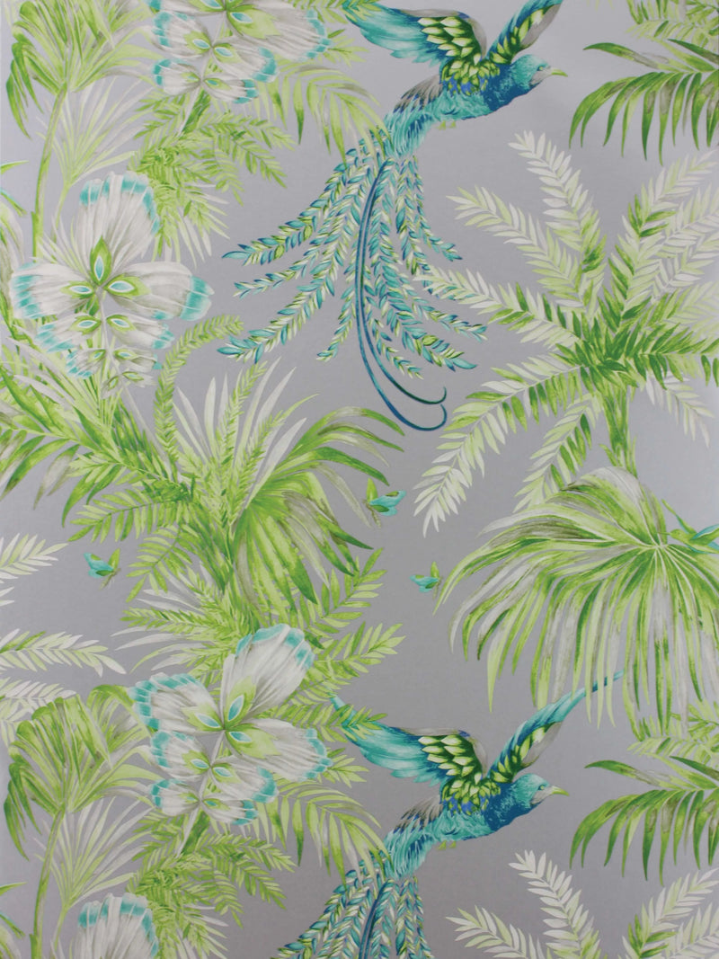 Matthew Williamson Bird of Paradise Wallpaper, Jade, W6655-04