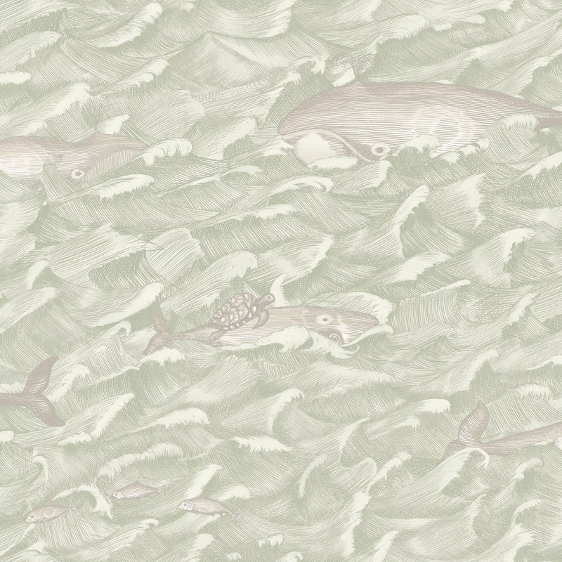 Cole & Son Melville wallpaper 10m roll, imported from the UK