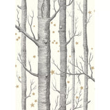 Cole & Son Woods & Stars Wallpaper 10m x 52cm