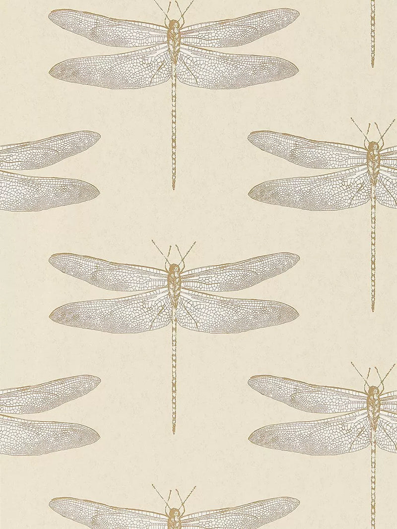 Harlequin Demoiselle wallpaper with dragonfly design in Shell, UK version