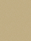 Cole & Son Vermicelli wallpaper - British product