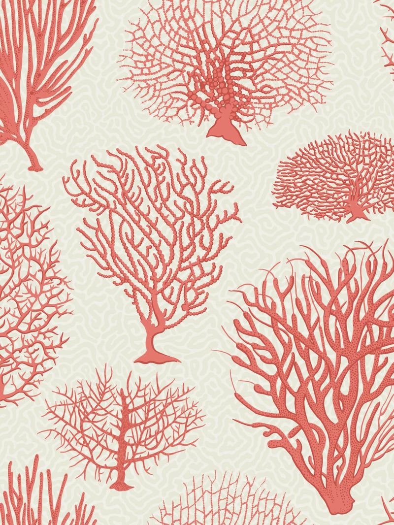 Cole & Son Seafern wallpaper 10m x 52cm (British brand)