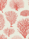 Cole & Son Seafern wallpaper 10m x 52cm (British brand)