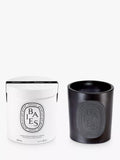 Diptyque Baies scented candle 1500g (British brand)