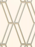 Romo Marquise Paste the Wall Wallpaper 10.05m x 68.6cm
