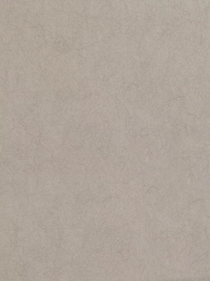 Romo Asper paste the wall wallpaper in textured plain, imported from the UK