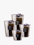 Baobab Collection Platinum scented jar candle 500g, UK version