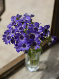 Sony 50mm f/1.8 standard lens (British brand)