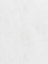 John Lewis Designers Guild Jardin des Plantes Michaux Paste the Wall Wallpaper- Buy online at McGrocer