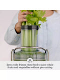 Sage Nutri Juicer Cold Silver juicer (British brand)