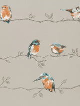 John Lewis Harlequin Standing Ovation Persico Paste the Wall Wallpaper 10.05m x 68.6cm- Buy online at McGrocer