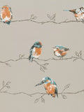 Harlequin Standing Ovation Persico wallpaper 10.05x68.6cm (British brand)