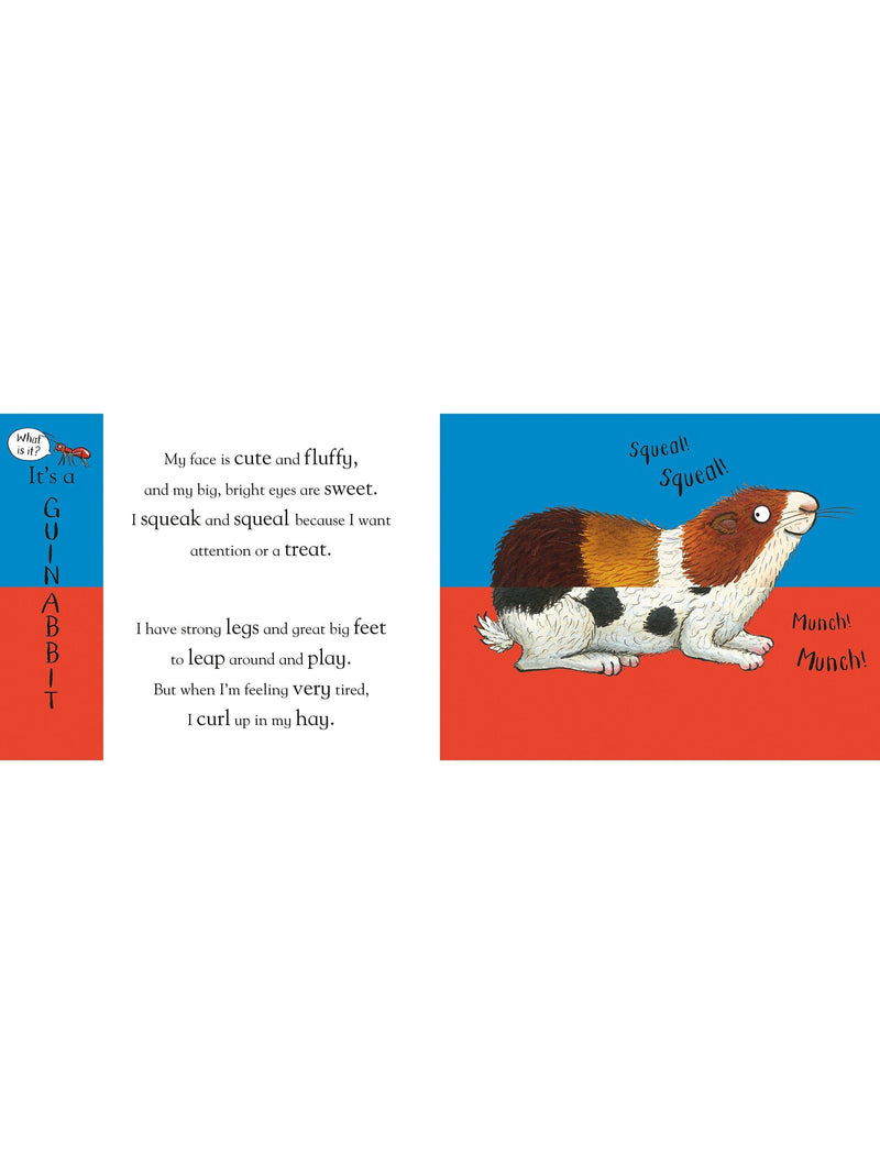 Nosy Crow Flip Flap Pets children's board book, imported from the UK