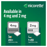 Nicorette gum pieces original flavour 2mg 105 pieces - British product