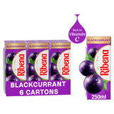 Sainsburys Ribena Blackcurrant Juice Drink Cartons 6x250ml- Buy online at McGrocer