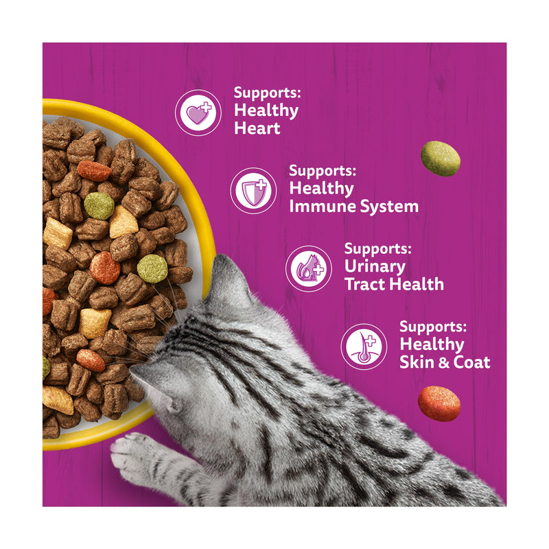 Whiskas senior dry cat food chicken 800g, imported from the UK
