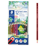 Sainsburys Staedtler Noris Colour Pencils Pack of 12- Buy online at McGrocer